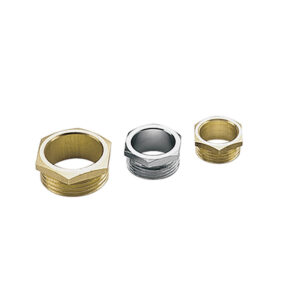 2021058N Entry Bushes for Cable Glands -  BSP Thread